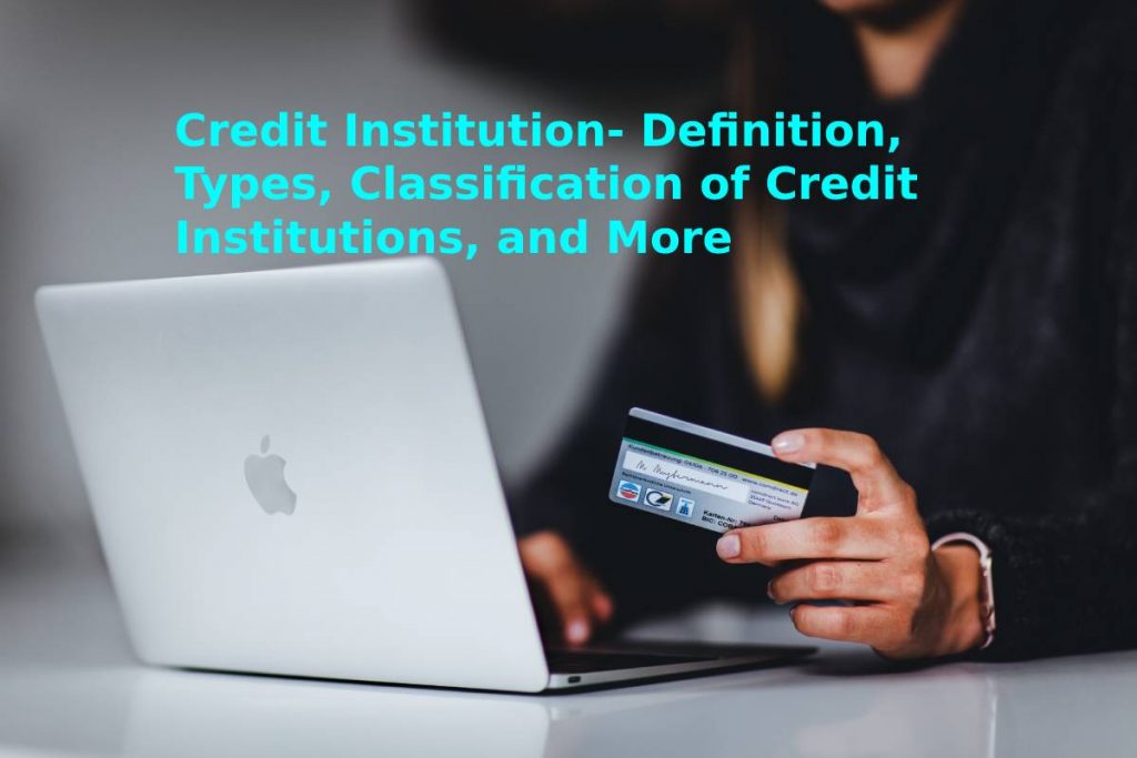 Credit Institution