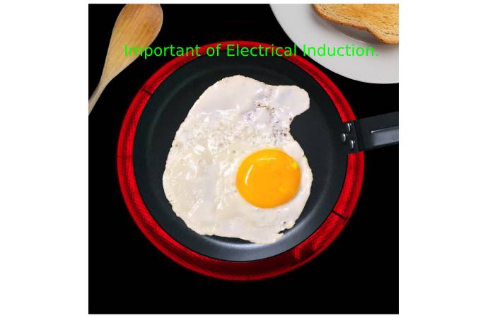 Important of Electrical Induction.