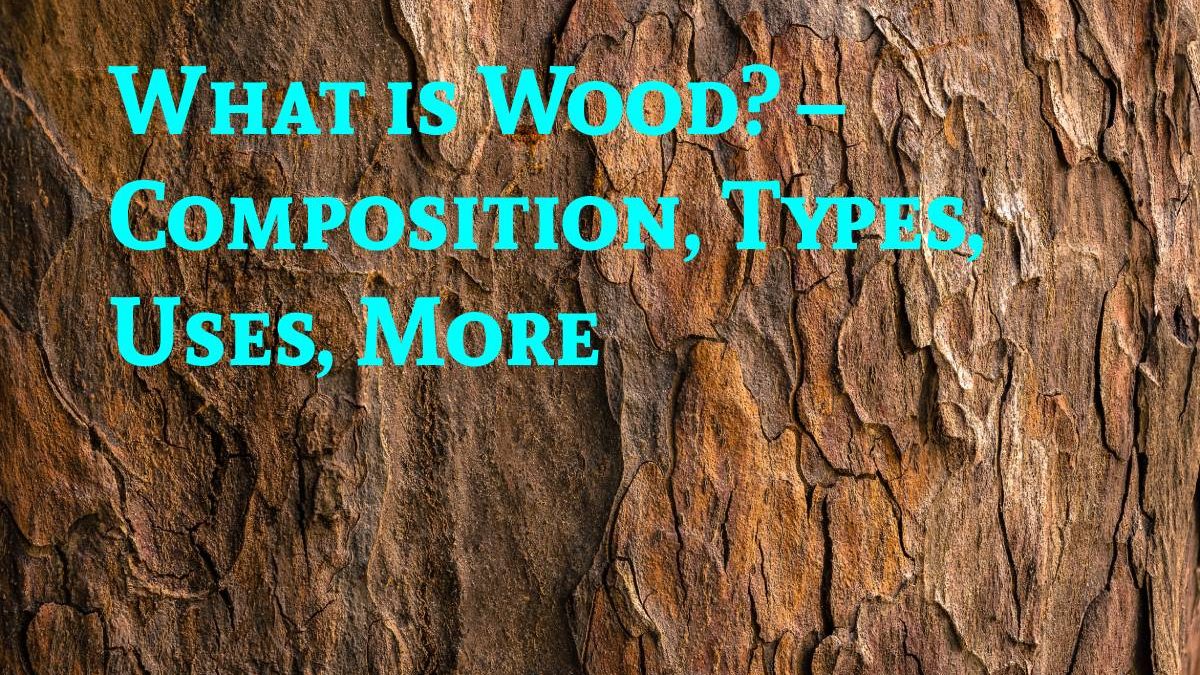 What is Wood? – Composition, Types, Uses, More