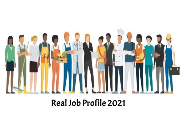 real job profile