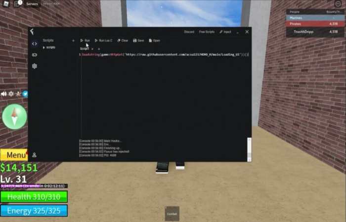 Fluxus executor and hit Run to Execute