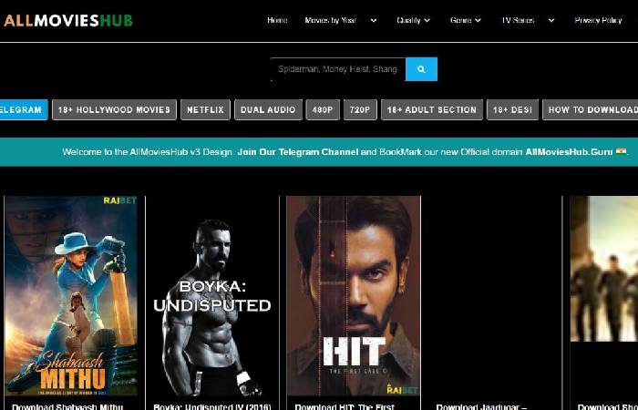 AllMoviesHub 2023 Categories