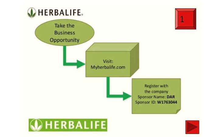 What is a Herbalife Account?