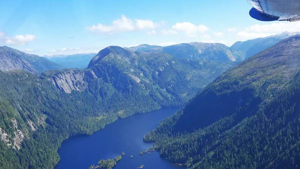 Vuelo Escénico de los Fiordos Brumosos y Fiesta de Cangrejos de Ketchikan