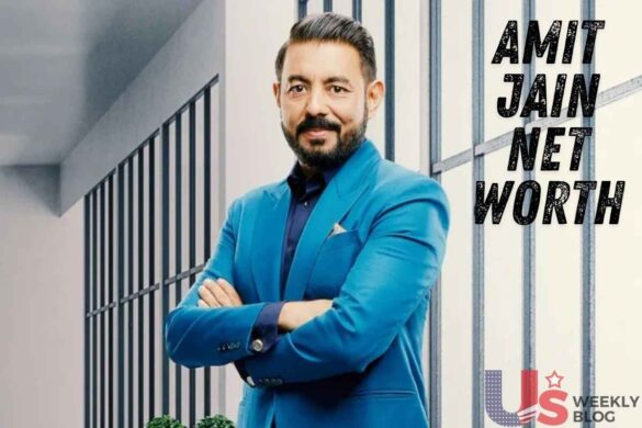 Amit Jain Net Worth