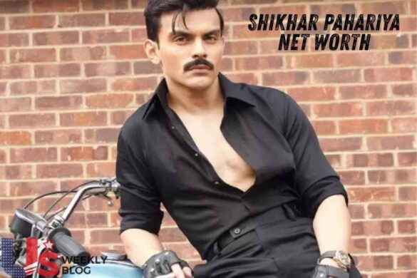 Shikhar Pahariya Net Worth