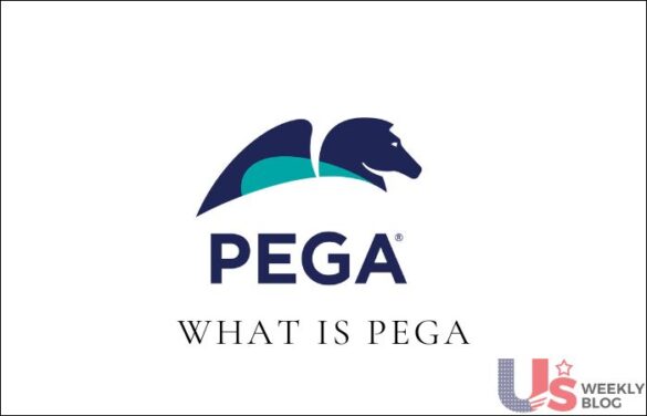 What Is Pega