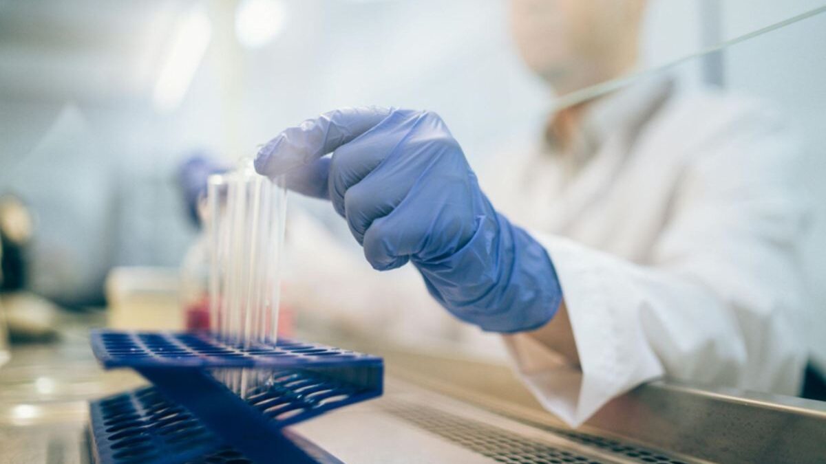 Behind the Scenes in Biotech Labs: How Live Cell Imagers Work
