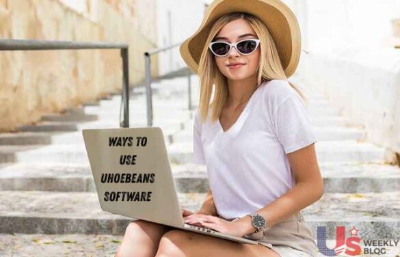 Ways to Use Uhoebeans Software