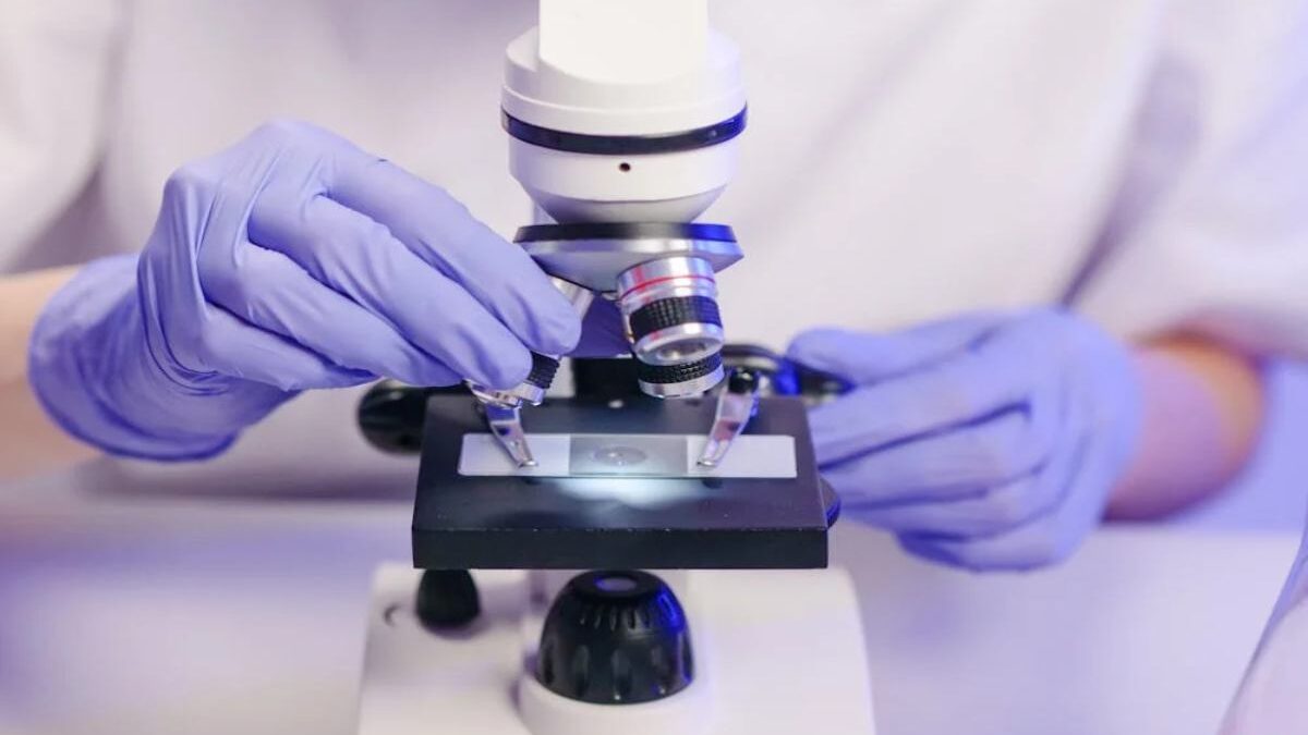 How Microscope Slide Storage Impacts Research Accuracy And Data Quality